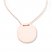 Disc Necklace 14K Rose Gold