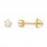 Cultured Pearl Earrings 14K Yellow Gold