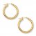 Hoop Earrings 14K Yellow Gold 25mm