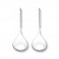 Drop Earrings Sterling Silver