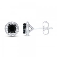 Black & White Diamond Earrings 1/2 ct tw 10K White Gold