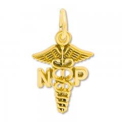 Nurse Practitioner Charm 14K Yellow Gold