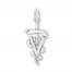 Veterinarian Charm Sterling Silver