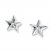 Starfish Earrings Sterling Silver