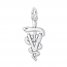 Veterinarian Charm Sterling Silver