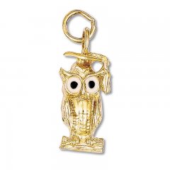 Graduation Owl Charm 14K Yellow Gold