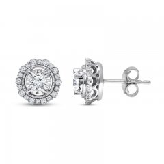 Diamond Stud Earrings 1/2 ct tw Round-cut 10K White Gold